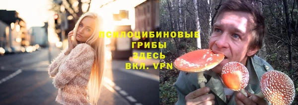 экстази Вяземский