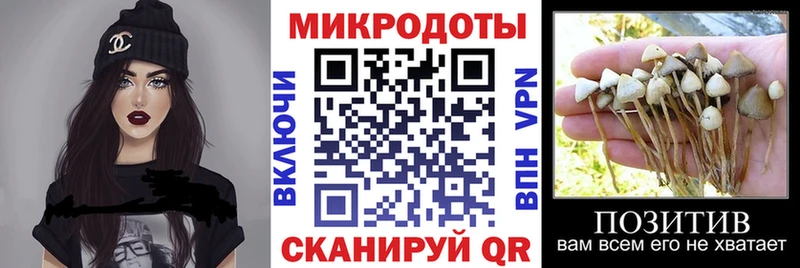 где продают наркотики  блэк спрут как войти  Псилоцибиновые грибы Magic Shrooms  Данилов 